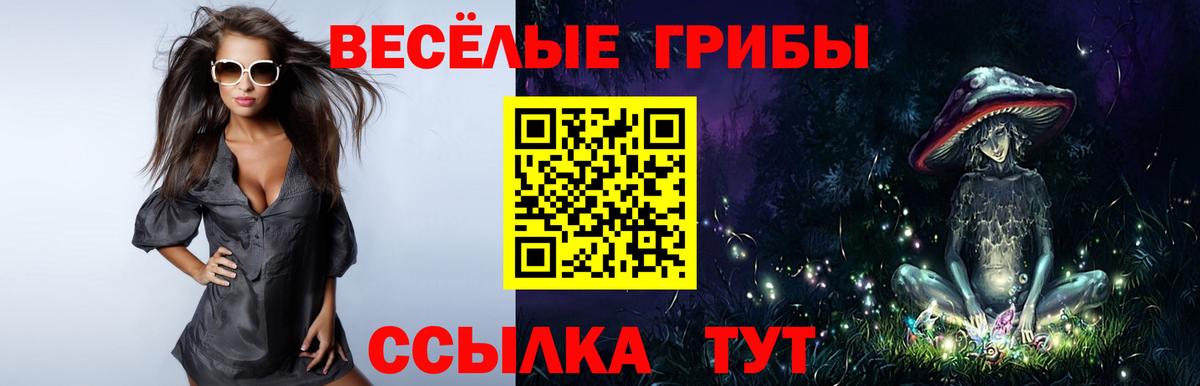 Большой Камень  Галлюциногенные грибы мухоморы  Псилоцибиновые грибы Psilocybe  где продают наркотики  Вход с VPN 